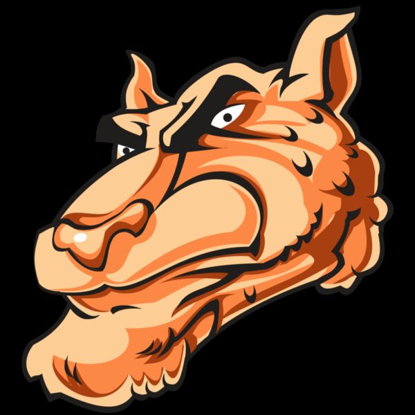 CHEETAH HD0502 RQC Thumbnail