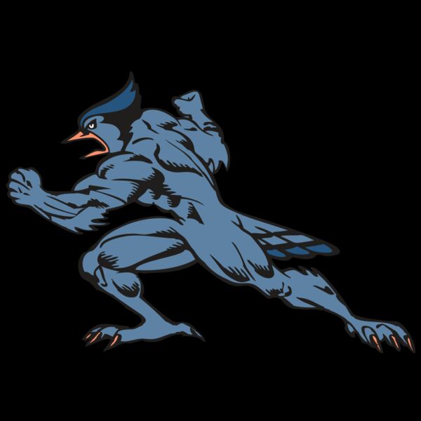 BAW BLUEJAY 15 RC Thumbnail