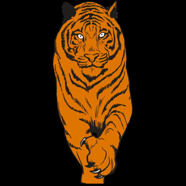 AR4 TIGER 08 RQC Thumbnail