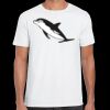 Mens Softstyle Tee Shirt Thumbnail